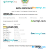 editable template, El Salvador vital record birth certificate Word and PDF template, completely editable
