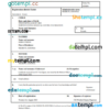 editable template, Estonia vital record birth certificate Word and PDF template, completely editable