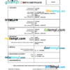 editable template, Eswatini birth certificate Word and PDF template, completely editable