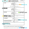 editable template, Fiji birth certificate Word and PDF template, completely editable