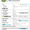 editable template, Guinea Bissau birth certificate Word and PDF template, completely editable