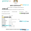 editable template, Guyana vital record birth certificate Word and PDF template, completely editable