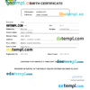 editable template, Solomon Islands vital record birth certificate Word and PDF template, completely editable
