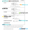 editable template, South Korea birth certificate Word and PDF template, completely editable