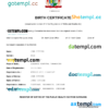 editable template, Suriname vital record birth certificate Word and PDF template, completely editable