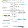 editable template, Sweden birth certificate Word and PDF template, completely editable