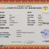 editable template, Sweden marriage certificate PSD template, fully editable