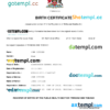 editable template, Trinidad & Tobago birth certificate Word and PDF template, completely editable