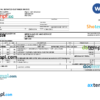 editable template, USA The Home Depot invoice template in Word and PDF format, fully editable