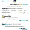 editable template, Venezuela vital record birth certificate Word and PDF template, completely editable