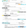 editable template, Vietnam birth certificate Word and PDF template, completely editable