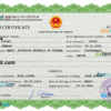 editable template, Vietnam birth certificate PSD template, completely editable