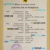 editable template, # instict universal marriage certificate PSD template, fully editable