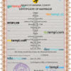 editable template, # microfilm universal marriage certificate PSD template, completely editable