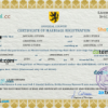 editable template, # sight universal marriage certificate PSD template, completely editable