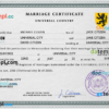 editable template, # snapshot universal marriage certificate PSD template, completely editable
