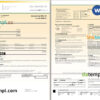 editable template, USA Southern California EDISON utility bill, Word and PDF template, 8 pages