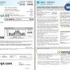 editable template, USA California PG&E (Pacific Gas and Electric Company) utility bill, Word and PDF template, 6 pages