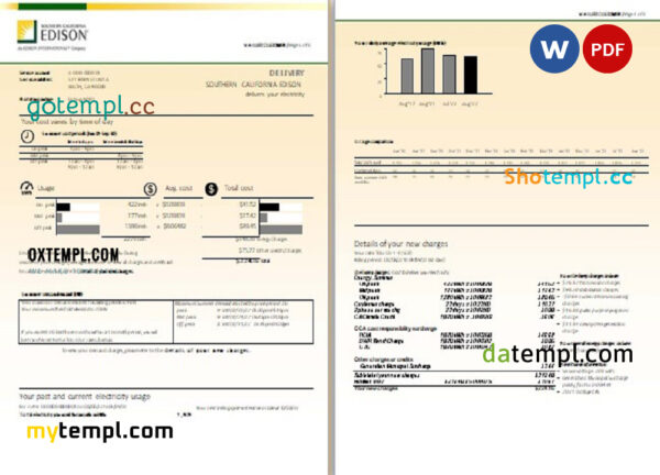 editable template, USA Southern California EDISON utility bill, Word and PDF template, 8 pages - Image 2