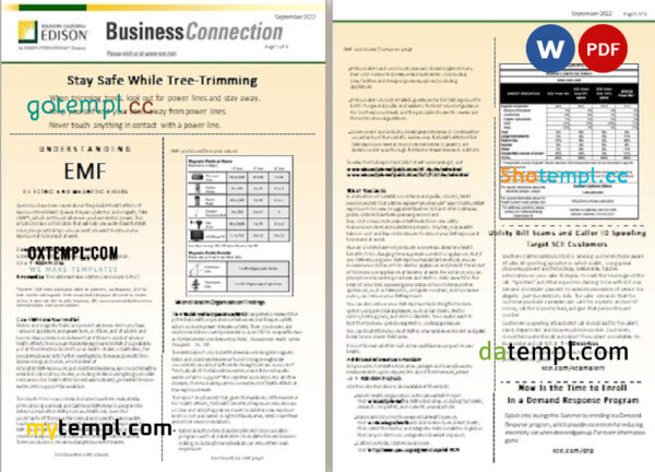 editable template, USA Southern California EDISON utility bill, Word and PDF template, 8 pages - Image 4