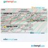 editable template, AFGHANISTAN visa PSD template, fully editable