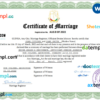 editable template, Guinea marriage certificate Word and PDF template, fully editable