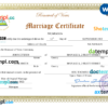 editable template, Nicaragua marriage certificate Word and PDF template, fully editable