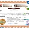 editable template, Niger marriage certificate Word and PDF template, completely editable