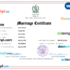 editable template, Pakistan marriage certificate Word and PDF template, fully editable