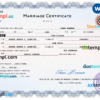 editable template, Paraguay marriage certificate Word and PDF template, completely editable