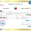 editable template, Philippines marriage certificate Word and PDF template, completely editable