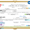 editable template, Poland marriage certificate Word and PDF template, fully editable