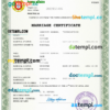 editable template, Portugal marriage certificate Word and PDF template, completely editable