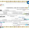 editable template, Saint Vincent and Grenadies marriage certificate Word and PDF template, fully editable