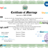editable template, Salvador marriage certificate Word and PDF template, completely editable