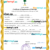 editable template, Saudi Arabia marriage certificate Word and PDF template, completely editable