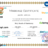 editable template, South Africa marriage certificate Word and PDF template, completely editable