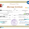 editable template, Spain marriage certificate Word and PDF template, fully editable