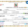 editable template, Suriname marriage certificate Word and PDF template, completely editable