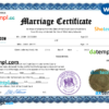 editable template, Syria marriage certificate Word and PDF template, fully editable