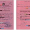 editable template, TANZANIA business registration license PSD template
