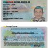 editable template, Tanzania identity card PSD template, with fonts, version 2