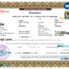 editable template, Tanzania marriage certificate Word and PDF template, completely editable