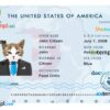 FREE editable template, USA cat (animal, pet) electronic passport PSD template, fully editable