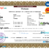 editable template, Vietnam marriage certificate Word and PDF template, fully editable