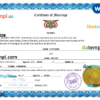 editable template, Yemen marriage certificate Word and PDF template, completely editable