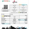 editable template, EGYPT electronic entry visa PSD template, fully editable