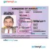 editable template, HAWAII travel visa PSD template, completely editable, with fonts