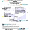 editable template, KAZAKHSTAN electronic visa PSD template, fully editable