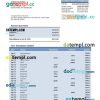 editable template, GOLDMAN Sachs bank organization account statement Word and PDF template